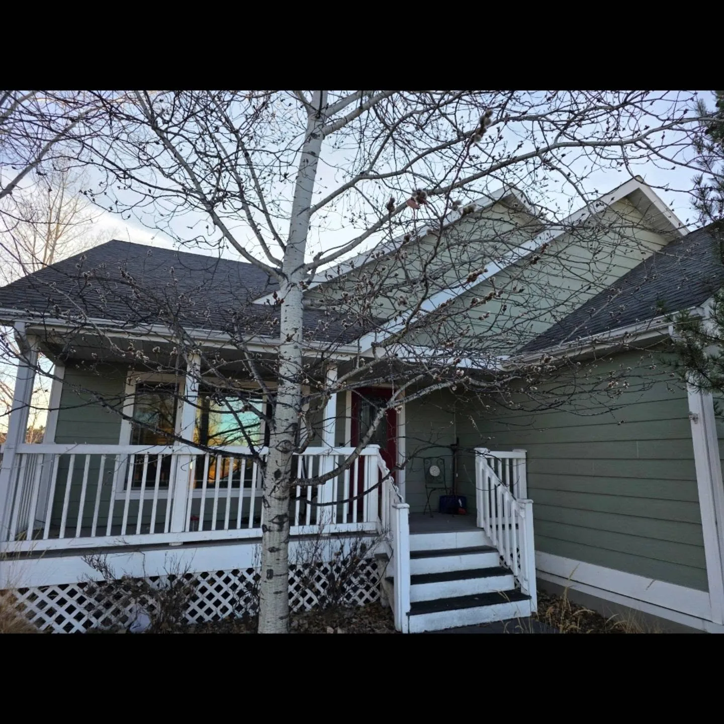 Aspen tree white porch railing green siding home