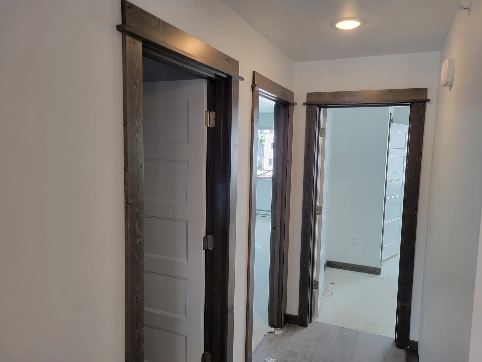 Dark wood door casing hallway white doors