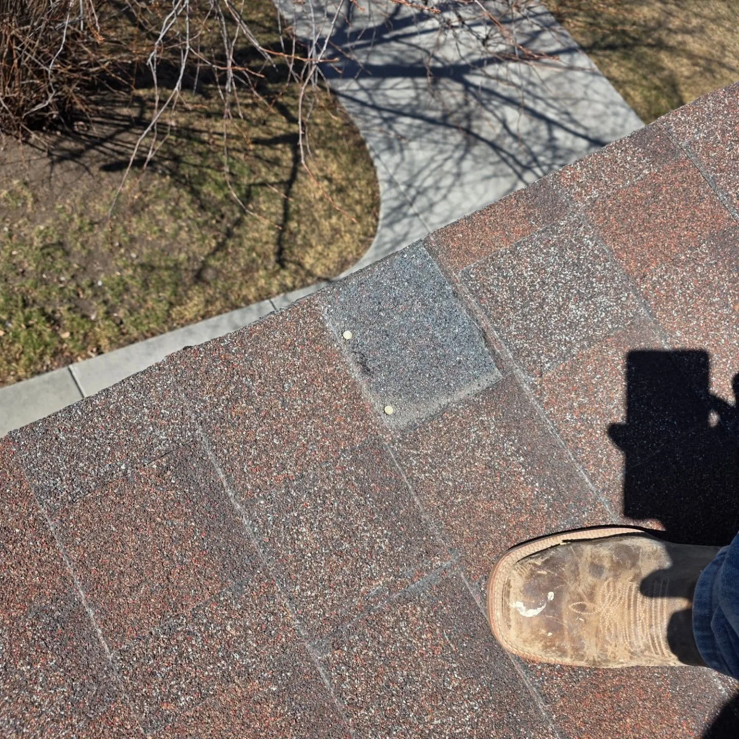 Gray replacement shingle exposed nails brown roof