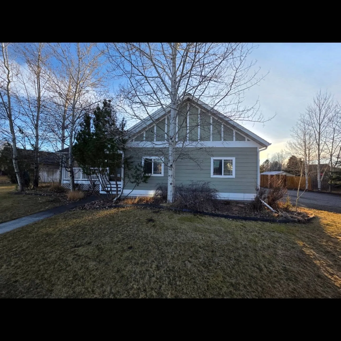 Sage green lap siding gable end white trim birch trees