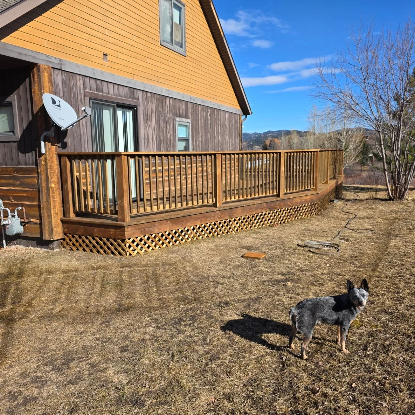 Yard view stained deck cattle dog mountain home
